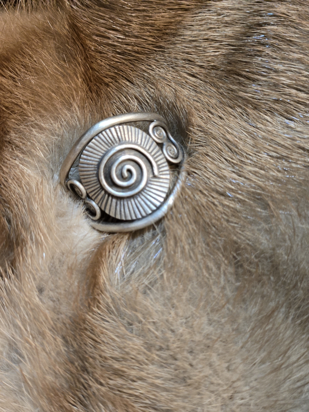 Silver Spiral Statement Ring - Boho Swirl Design